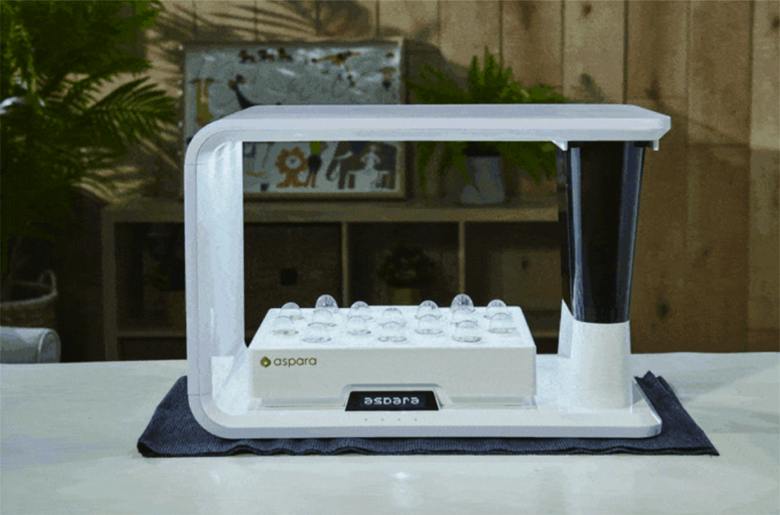 Aspara智能水耕種植機Aspara Nature Smart Grower - 長屋- LONGEVITY GROUP